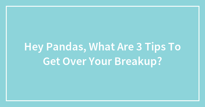 Hey Pandas, What Are 3 Tips To Get Over Your Breakup? (Closed)