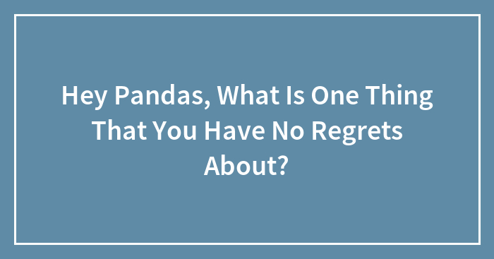 Hey Pandas, What Is One Thing That You Have No Regrets About?