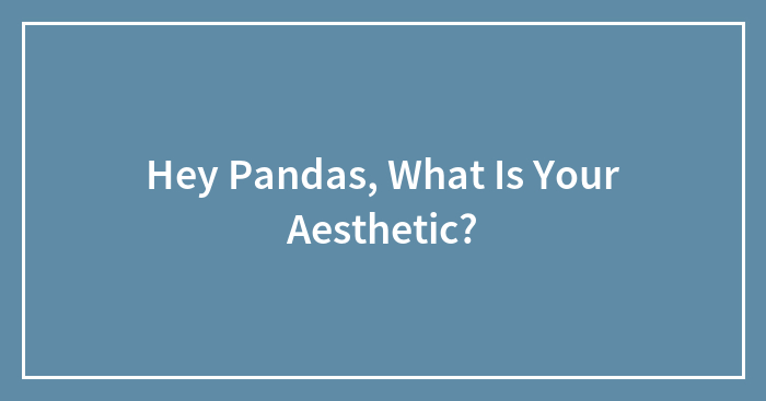 Hey Pandas, What Is Your Aesthetic? (Closed)