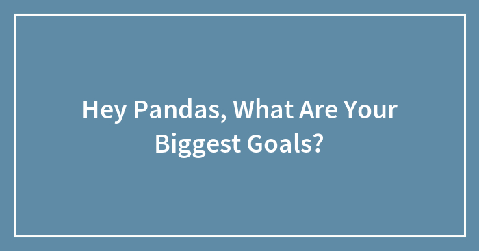 Hey Pandas, What Are Your Biggest Goals? (Closed)