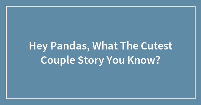 Hey Pandas, What The Cutest Couple Story You Know? (Closed)