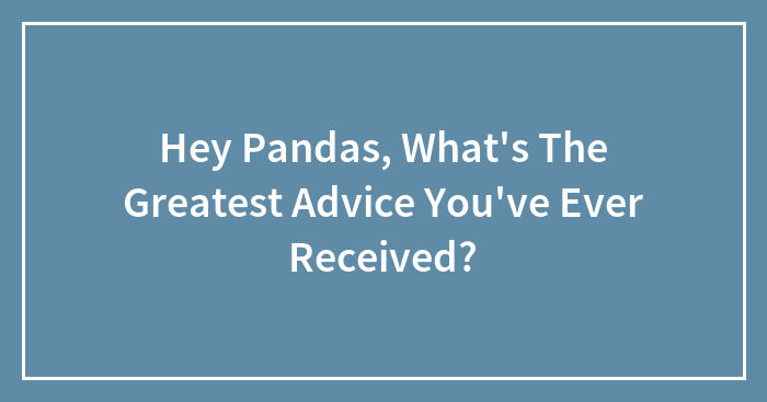 Hey Pandas, What’s The Greatest Advice You’ve Ever Received? (Closed)