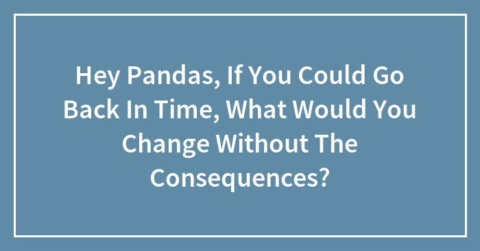 Hey Pandas, If You Could Go Back In Time, What Would You Change Without The Consequences? (Closed)