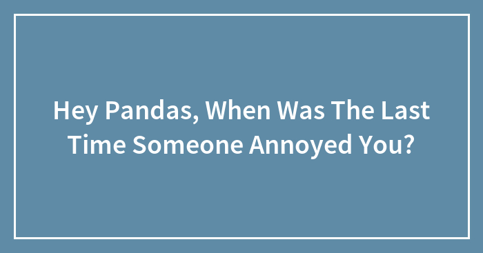 Hey Pandas, When Was The Last Time Someone Annoyed You? (Closed)