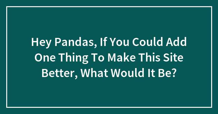 Hey Pandas, If You Could Add One Thing To Make This Site Better, What Would It Be? (Closed)