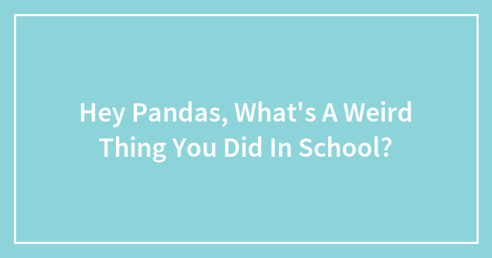 Hey Pandas, What’s A Weird Thing You Did In School? (Closed)