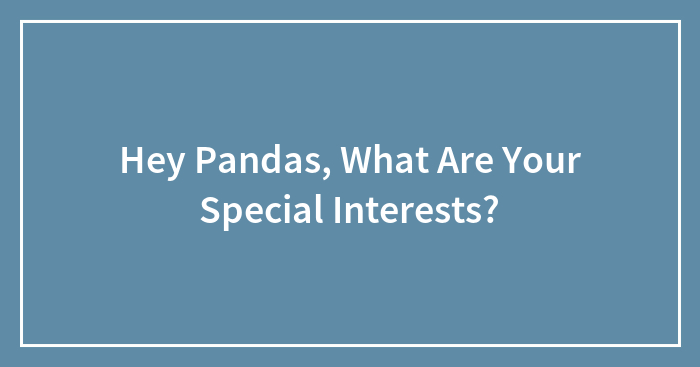 Hey Pandas, What Are Your Special Interests? (Closed)