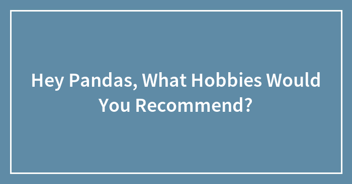 Hey Pandas, What Hobbies Would You Recommend? (Closed)