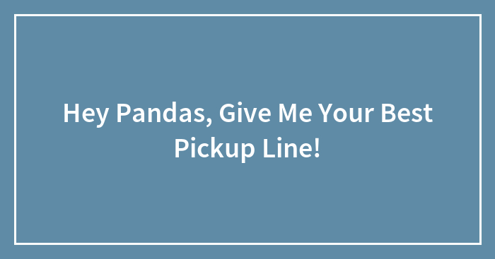 Hey Pandas, Give Me Your Best Pickup Line!