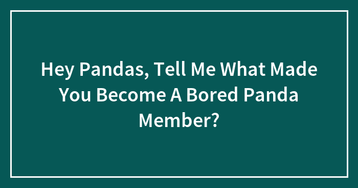 Hey Pandas, Tell Me What Made You Become A Bored Panda Member?