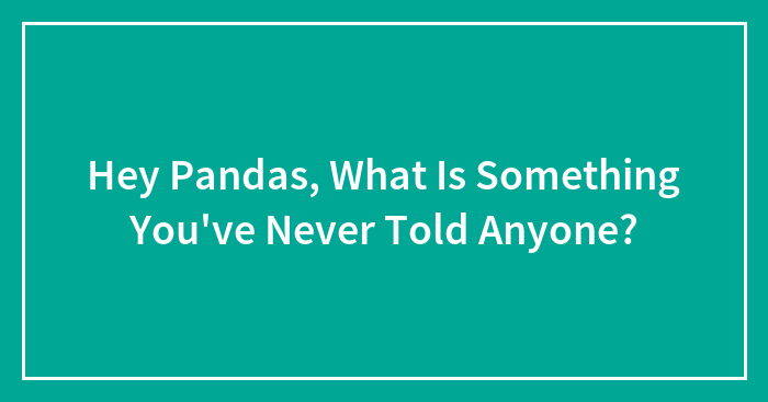 Hey Pandas, What Is Something You’ve Never Told Anyone? (Closed)