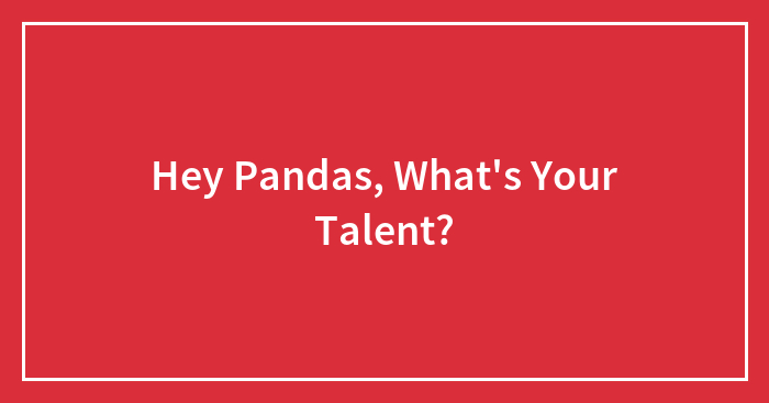 Hey Pandas, What’s Your Talent? (Closed)