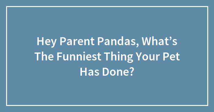 Hey Parent Pandas, What’s The Funniest Thing Your Pet Has Done? (Closed)