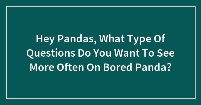 Hey Pandas, What Type Of Questions Do You Want To See More Often On Bored Panda? (Closed)