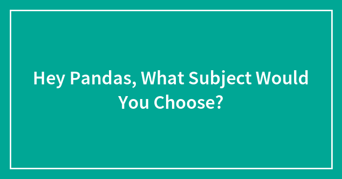 Hey Pandas, What Subject Would You Choose? (Closed)