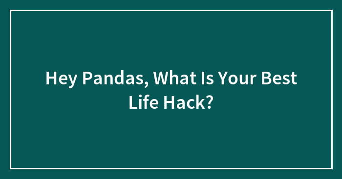 Hey Pandas, What Is Your Best Life Hack? (Closed)