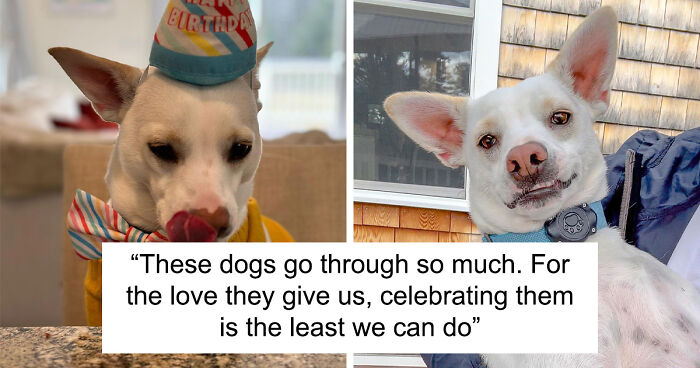 Guy Never Wanted A Dog, Now He Goes All Out For Their Birthday Pawties