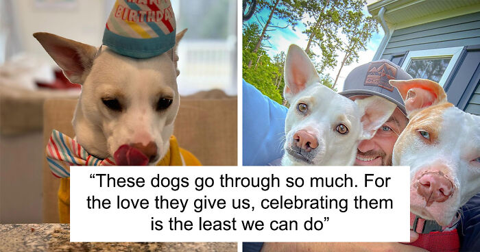 Guy Never Wanted A Dog, Now He Goes All Out For Their Birthday Pawties