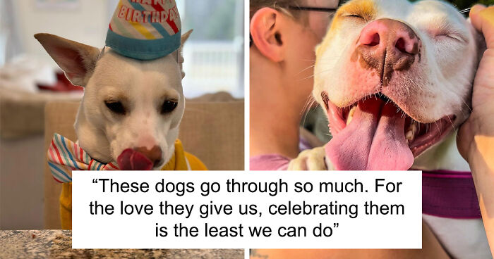 Guy Never Wanted A Dog, Now He Goes All Out For Their Birthday Pawties