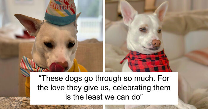 Guy Never Wanted A Dog, Now He Goes All Out For Their Birthday Pawties