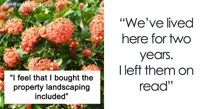 Delusional House Seller Wants To Take Back Their Landscaping 2 Years After Selling The House