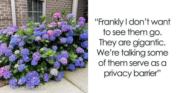 “At Least Half A Dozen Bushes”: Ex-Homeowner Feels Entitled To The Landscaping