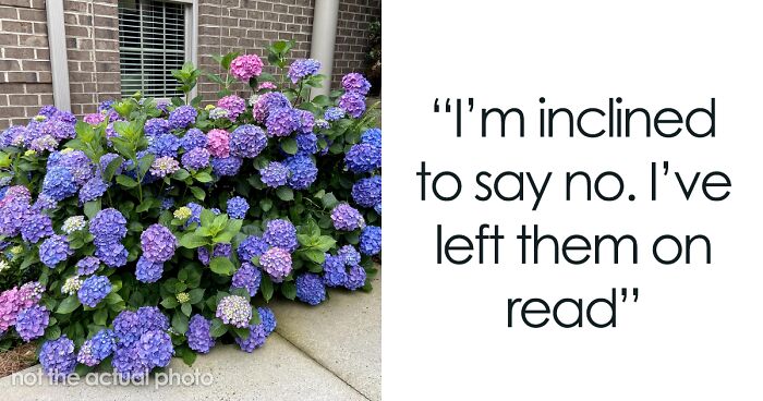 Homeowner Uneasy After Previous Homeowner Demands She Give Up “Sentimental” Landscaping