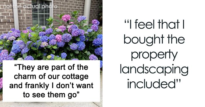 “They Are Of Sentimental Value”: Previous Homeowner Asks For Plants Two Years After Moving Out