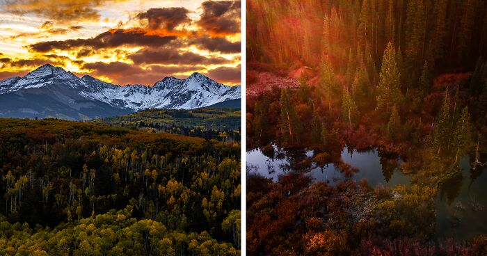 I Love Autumn, And Here Are 15 Of My Favorite Fall Pictures I Took