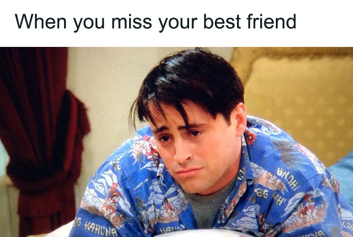 joey missing his best friend meme