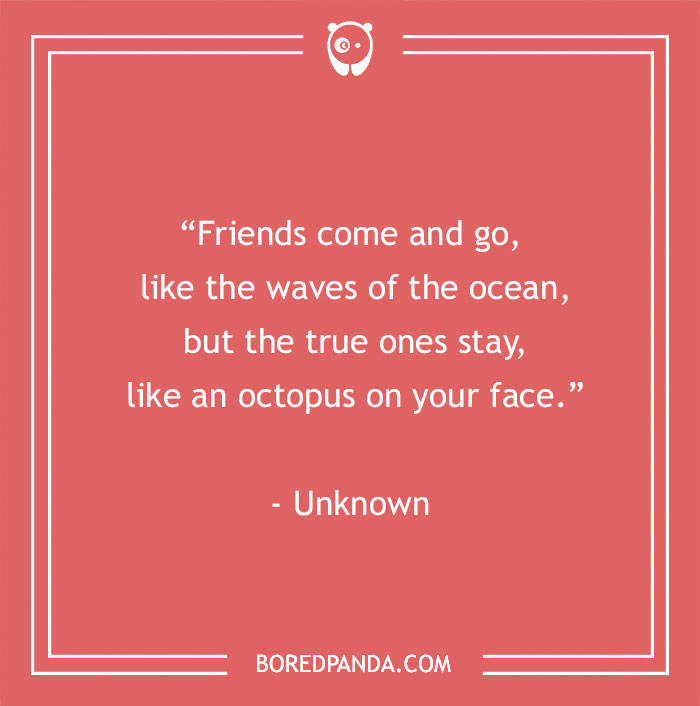 funny crazy friendship sayings