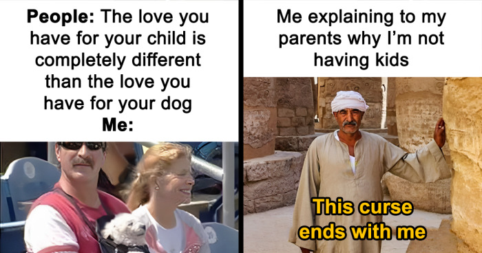 88 Hilarious Memes That Perfectly Sum Up What The Childfree Lifestyle Is About