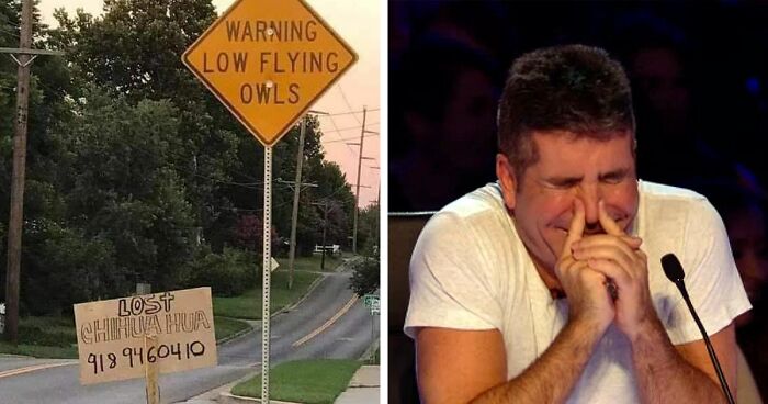 67 Of The Most Hilariously Unhinged Signs To Ever See The Sunlight (New Pics)