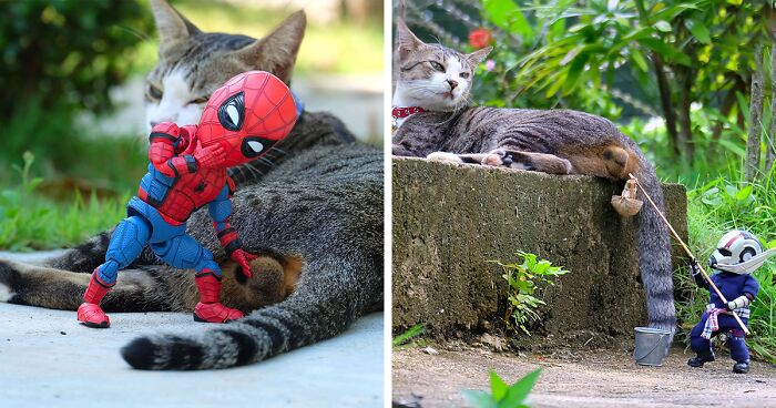 Thai Artist Took 52 New Photos Of Baby Spidey Going On Adventures With His Cute Animal Pals