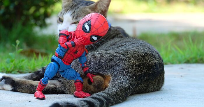 52 New Pics Of The Adventures Of Baby Spidey And His Cute Animal Pals By Thai Artist