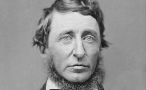 82 Thought Provoking Quotes By Henry David Thoreau