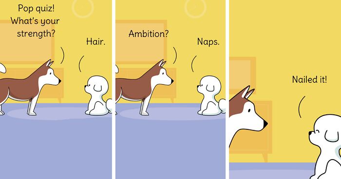 Sushi And Ren: My Comic Series Showcases A Tragic Romance Between Two Dogs (52 Pics)