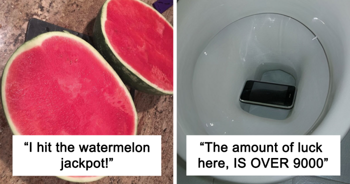 90 Times People Were So Blessed They Couldn’t Believe Their Luck