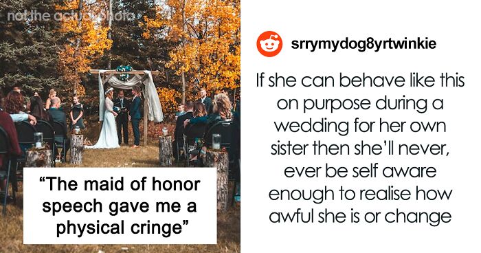 Attention-Seeking Maid Of Honor Sabotages Wedding Speech, Exposing Bride’s Secret