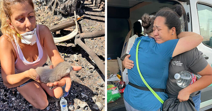 Hope Among Ashes As Maui Community Unites In Helping Wildlife Impacted By Fire