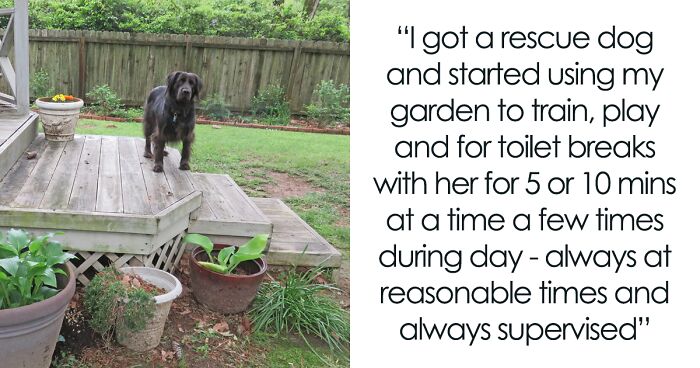 Person Seeks Advice Online On How To Deal With Neighbor Who Complains About Them Using Their Garden