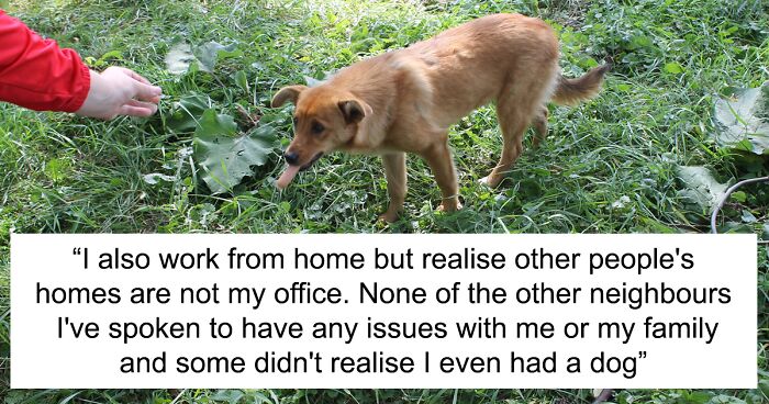 Netizen Seeks Advice As Entitled Neighbor Opposes Them Using Own Garden As It 'Irritates' Their Dog