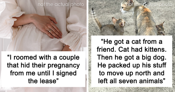 30 Roommate From Hell Stories That Show What A Privilege It Is To Be Living Alone