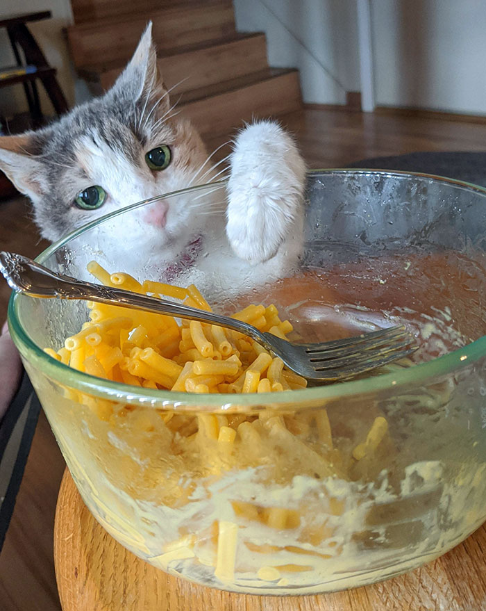 Here's My 18-Year-Old Gentry Doing What She Does The Best. Trying To Steal Peoples Food