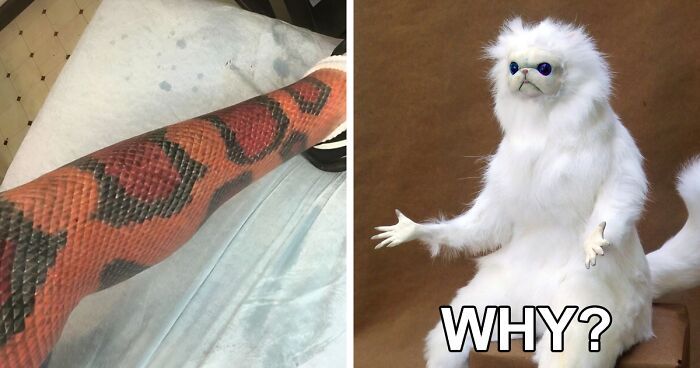 97 Times People Got Hilariously Bad Tattoos