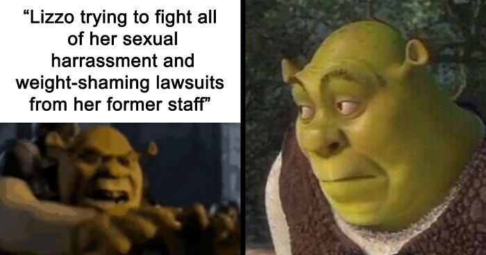 The Internet Is Nearly Swept Away By An Avalanche Of Shrek Memes, So Here Are 31 Of The Best Ones