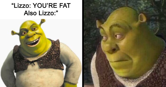 Shrek Seems To Be The Latest Meme Trend, So Here Are 31 Of The Most Spot-On Ones