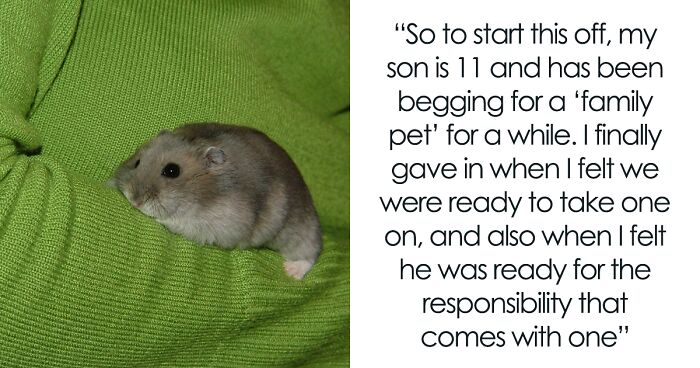 SIL Wants To Usurp Hamster’s Name For Her Upcoming Daughter, Parent Refuses To Make Son Change It