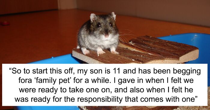 Person Refuses To Rename Hamster Just Because SIL Wants To Use This Name For Her Daughter