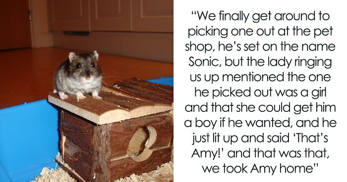 Parent Won’t Make Son Change Hamster's Name Which SIL Wants For Her Child, She Absolutely “Blows Up”